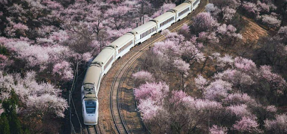 亞材門窗|讓生活與靈魂同行，感受不一樣的詩和遠(yuǎn)方