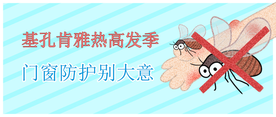 基孔肯雅熱高發(fā)季，門窗防護(hù)別大意